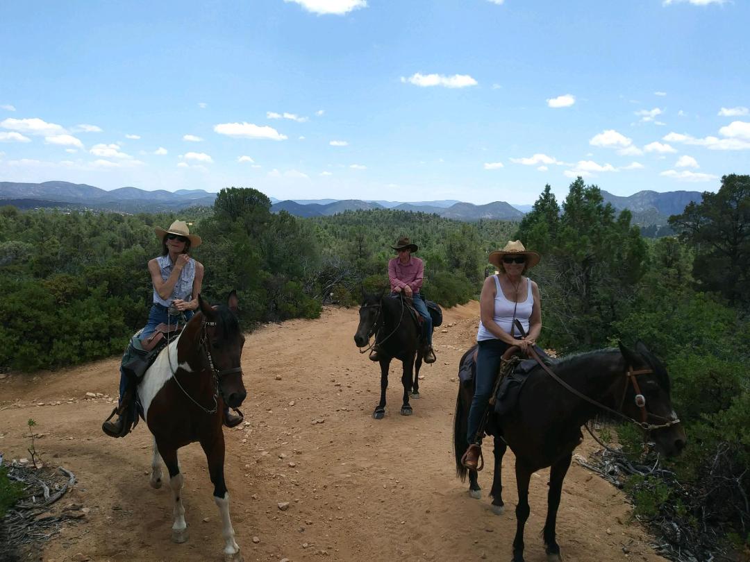Apache Junction Horse Rescue